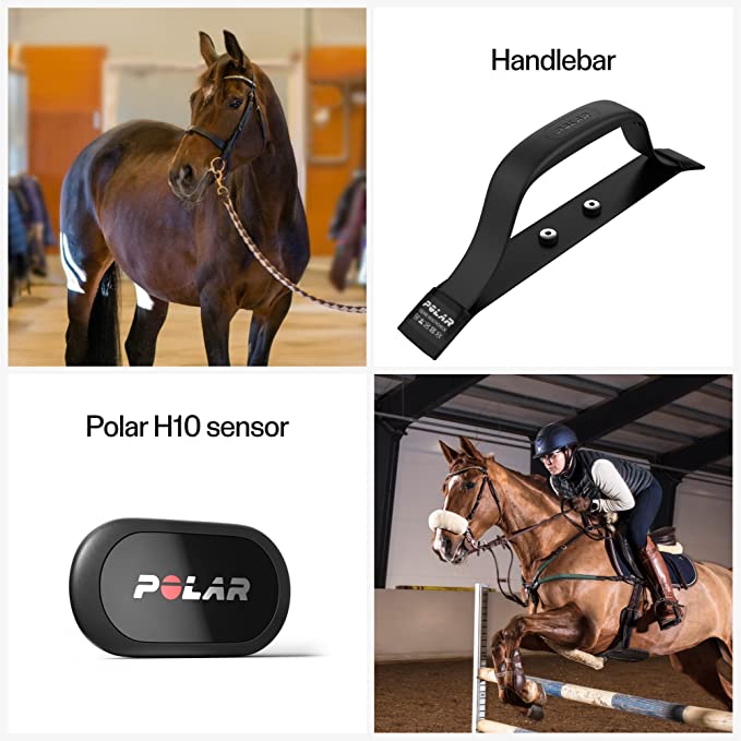 Polar Equine handtag med H10 sensor - 3