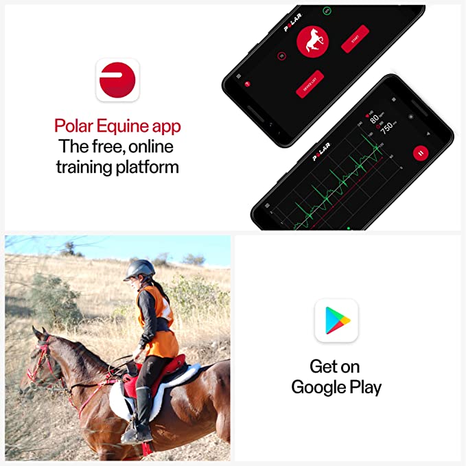 Polar Equine handtag med H10 sensor - 4