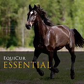 Essential 25kg