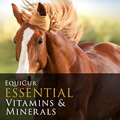 Essential Vitamins & Minerals 4kg