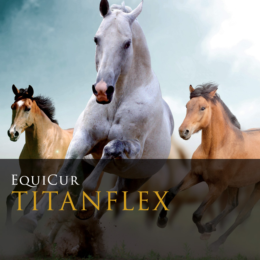 Titanflex 3kg