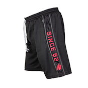Functional Mesh Shorts