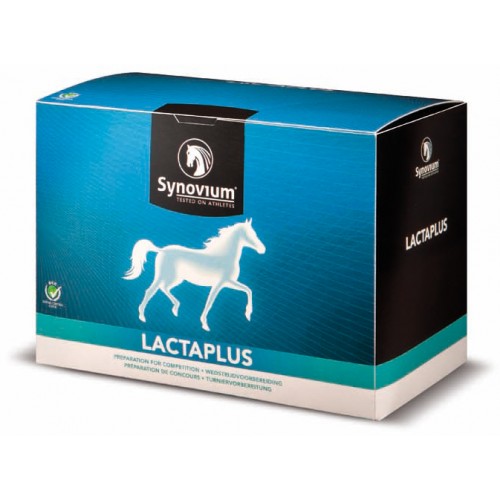 Synovium Lactaplus 6 x 40g