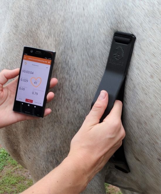 Equilog Vetcheck UTAN klocka