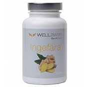 Ingefära kapslar - Back On Track - 120 st 250 mg