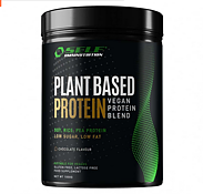 Plant Based Protein 1kg Vanilla