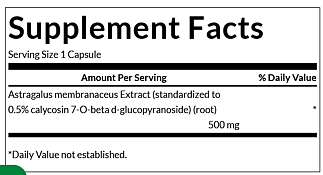 Astragalus - Standardized 500mg - 120caps