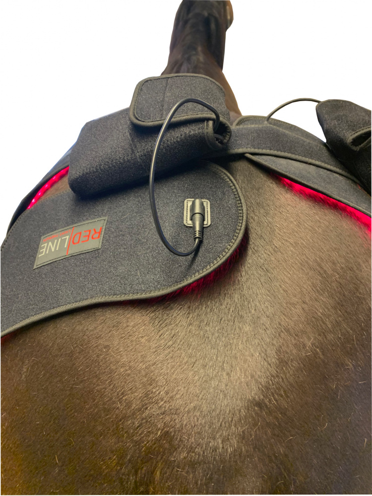 Redline pad DUO (2st) - 2