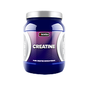 Creatine Nutritech 500g 