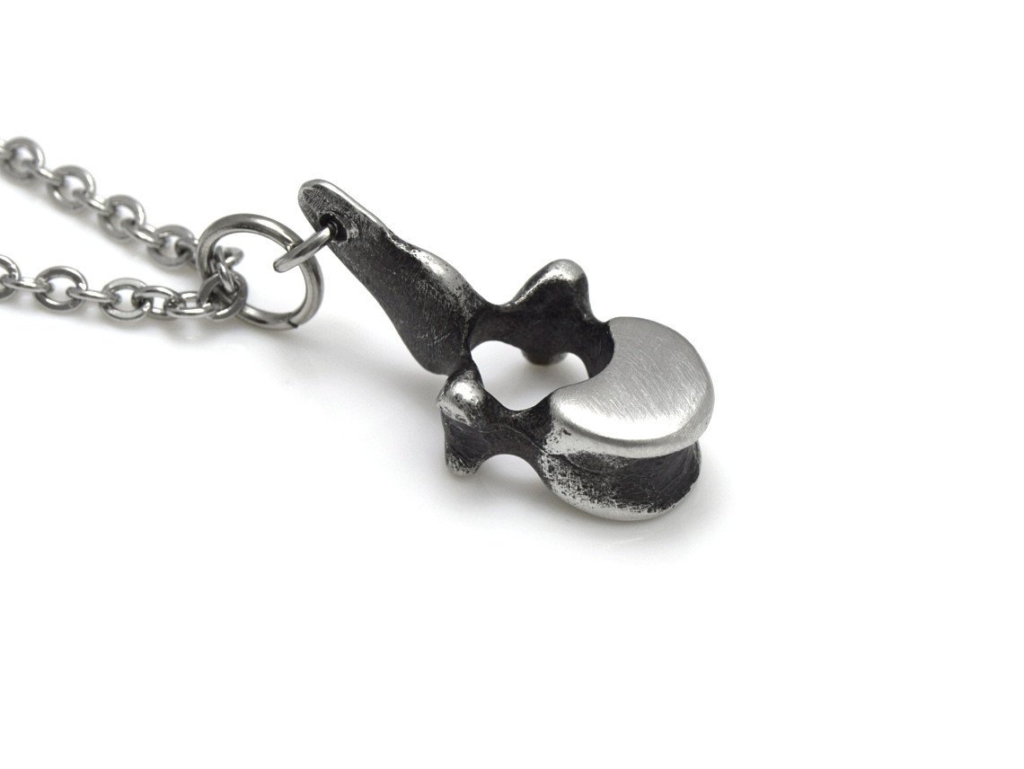 Liten Ryggkota Halsband, Anatomi Smycke i Tenn - 4