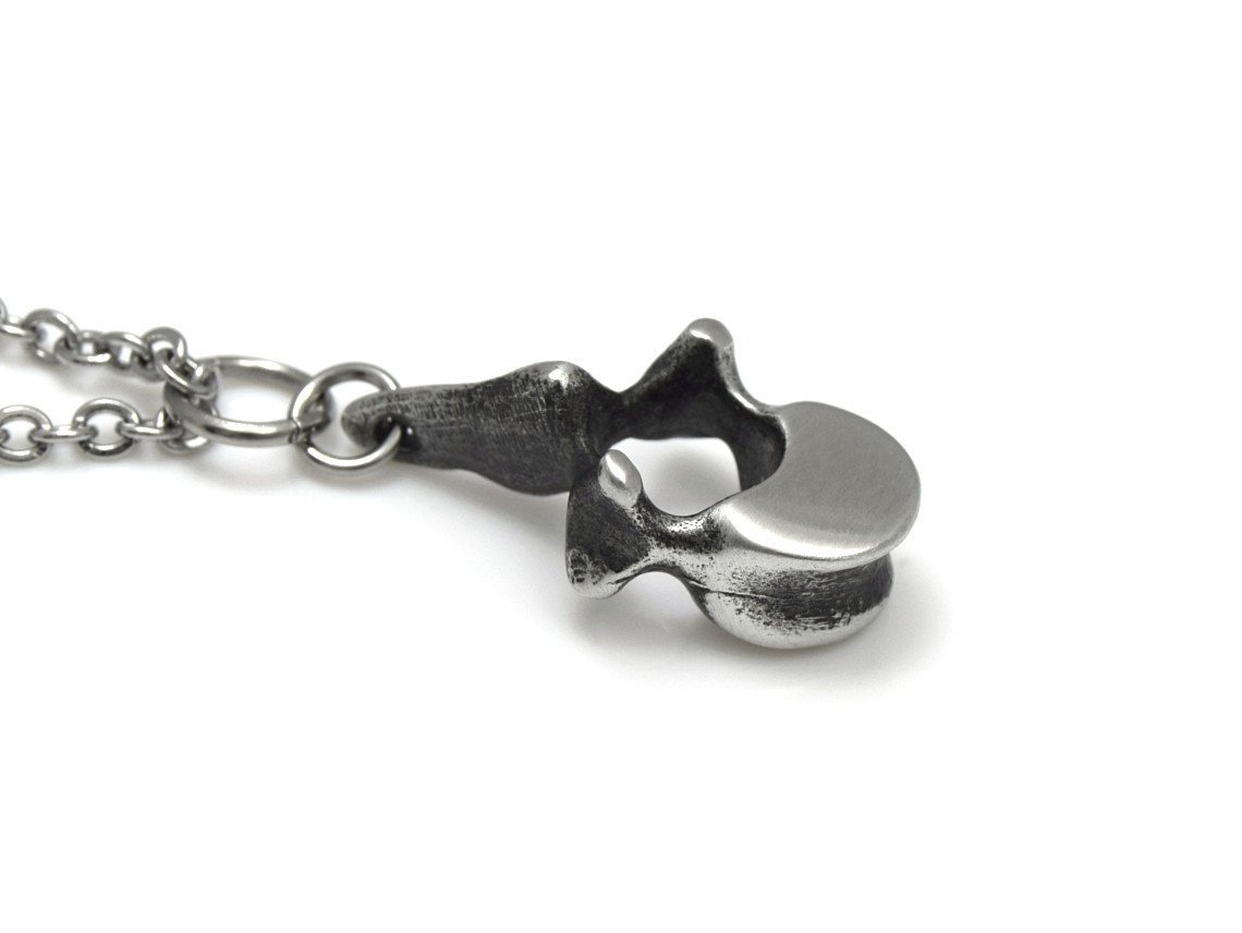 Liten Ryggkota Halsband, Anatomi Smycke i Tenn - 2