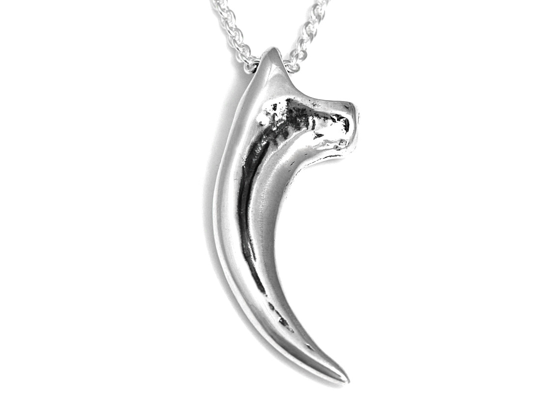 Velociraptorklo Halsband, Dinosaurie Smycke i Silver