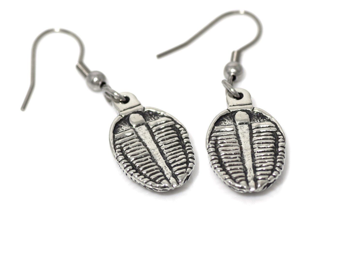 Trilobit Örhängen, Fossil Smycken i Tenn - 3