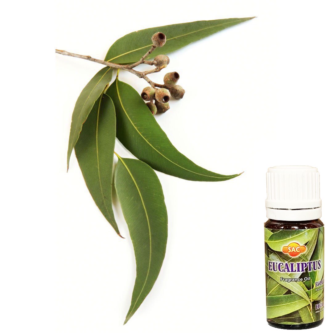 Eukalyptus Doftolja 10ml - SAC