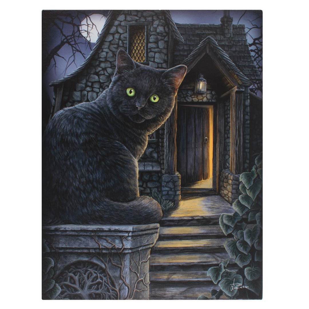Katt Canvastavla av Lisa Parker
