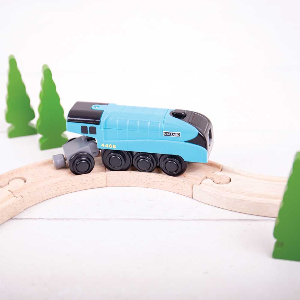 Mallard (tretog) - 4