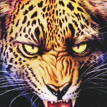 Panel - Leopard - 2