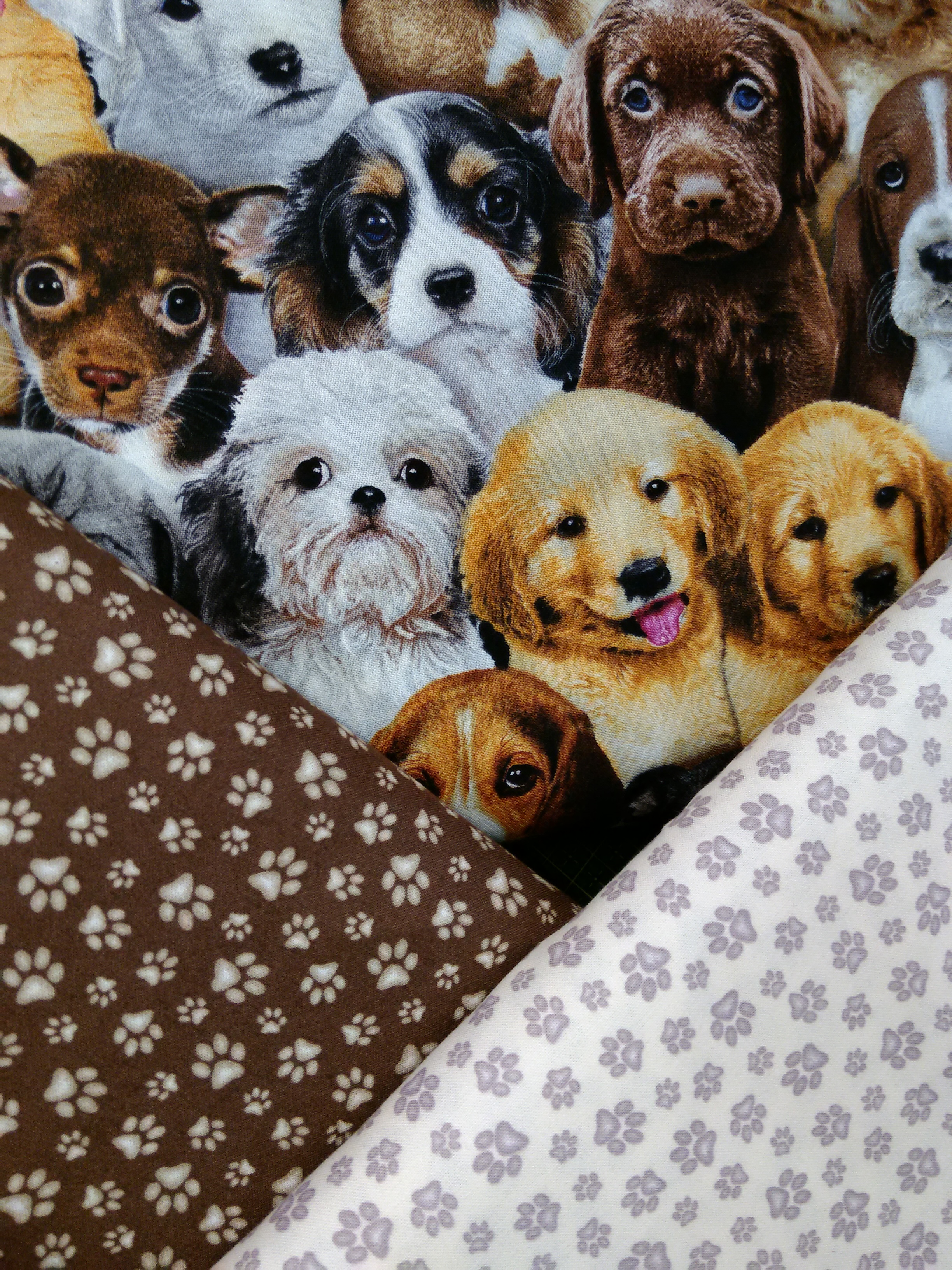 Hundvalpar - 2