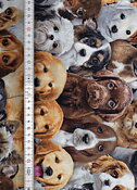 Hundvalpar