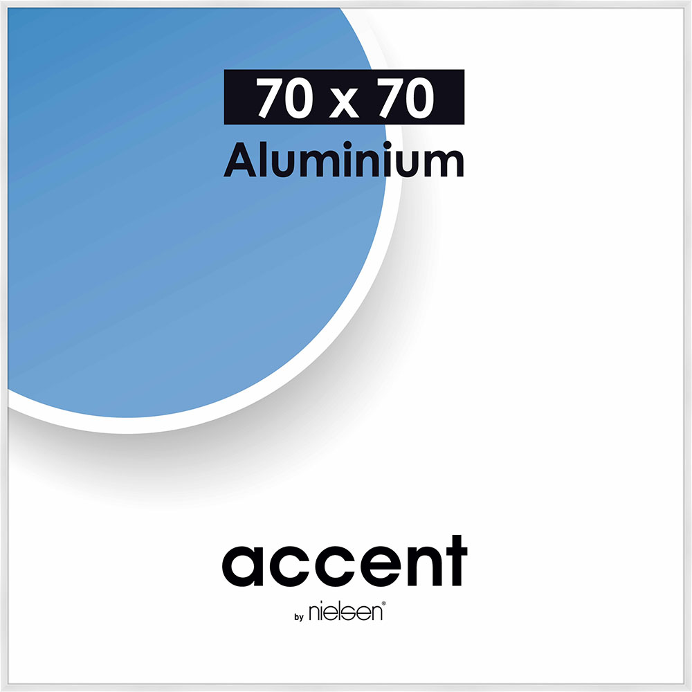 Accent Aluminium Vit Blank - 21