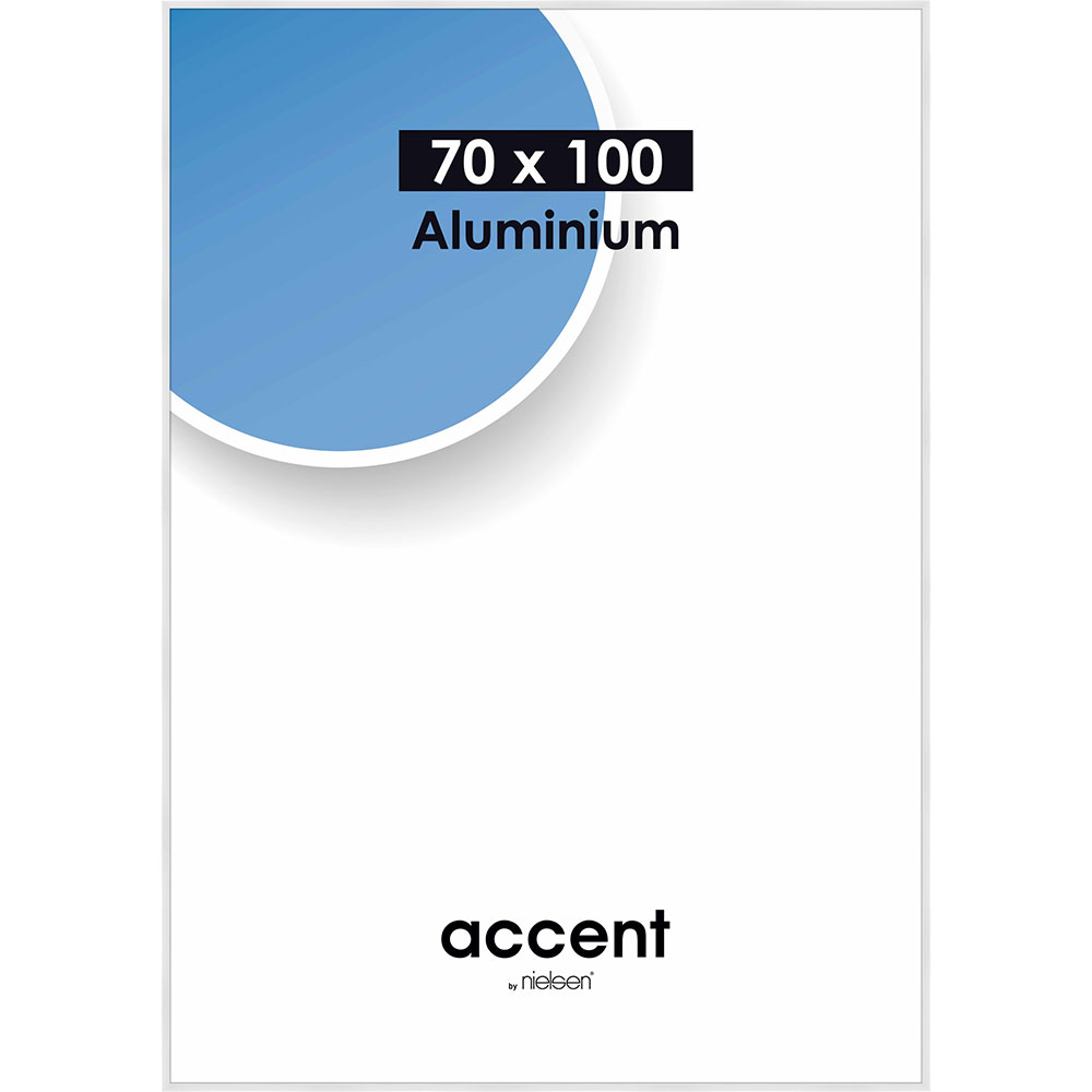 Accent Aluminium Vit Blank - 22