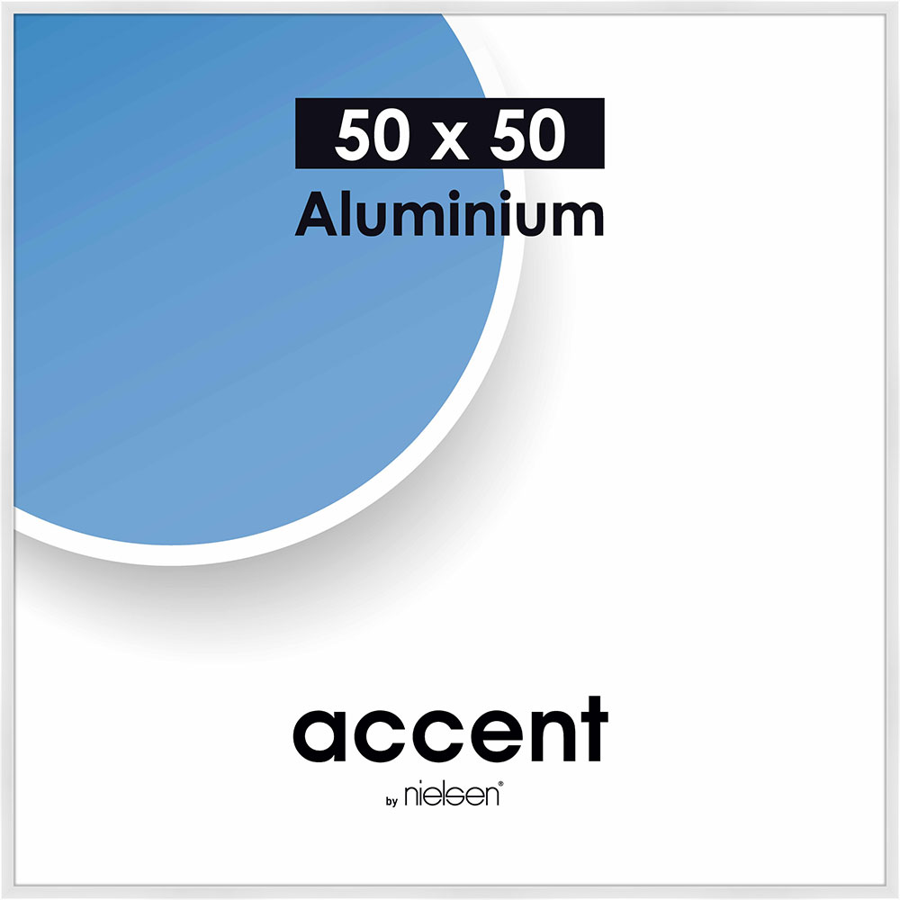 Accent Aluminium Vit Blank - 17
