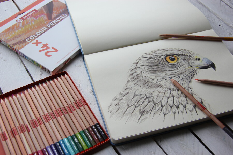 TALENS ART CREATION PENCILS Colour Pencils Set 24 - 3