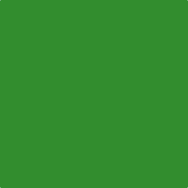 TAC Lino Colour 250 ml - 22