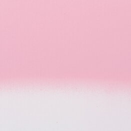 Amsterdam Spray 400ml Persian Rose