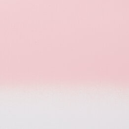 Amsterdam Spray 400ml Venetian Rose Light