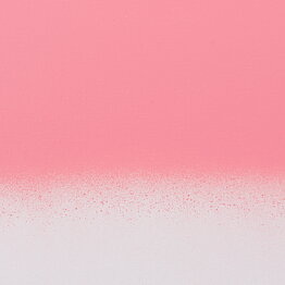 Amsterdam Spray 400ml Venetian Rose