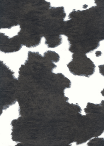 Decopatch papper - Cow