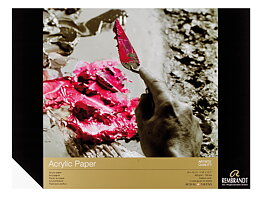 Rembrandt Acrylic paper blocks