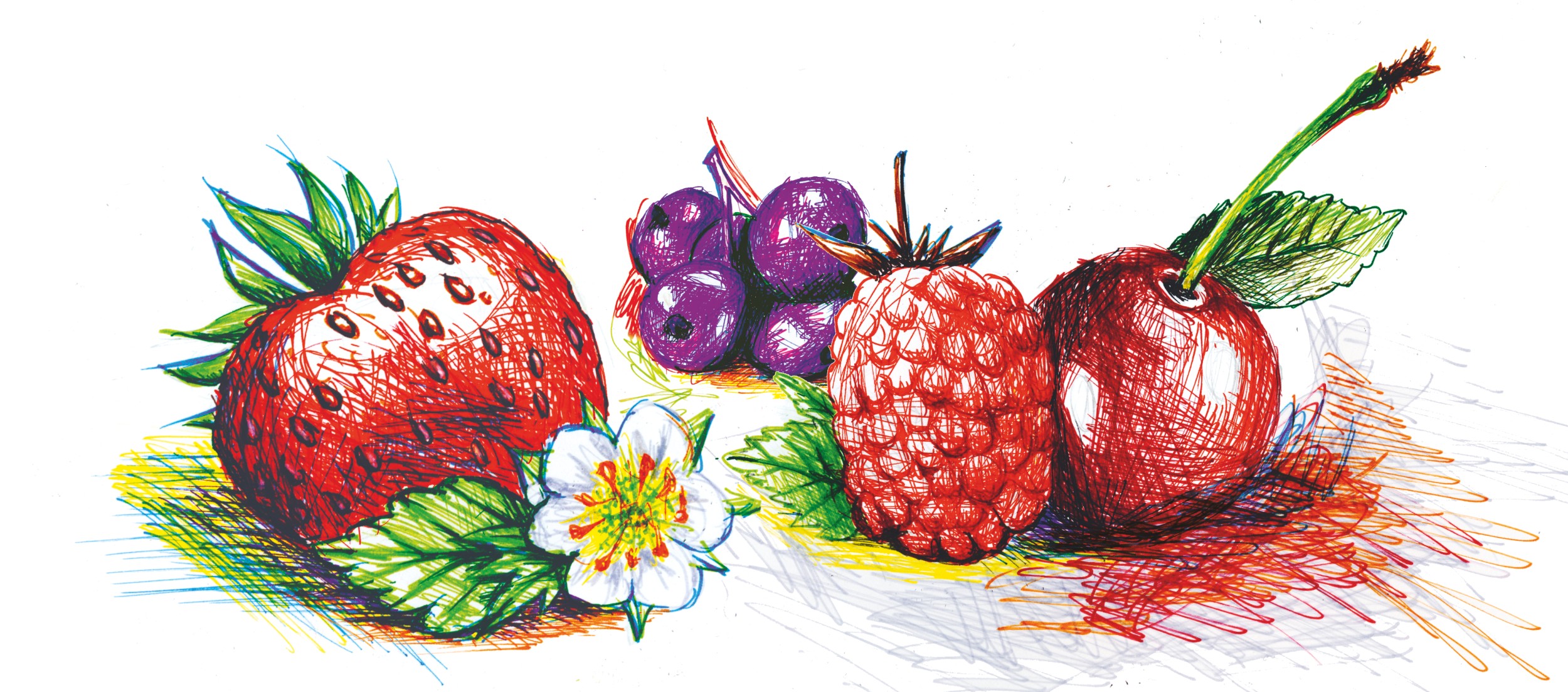 Triplus Fineliner 334 - 55