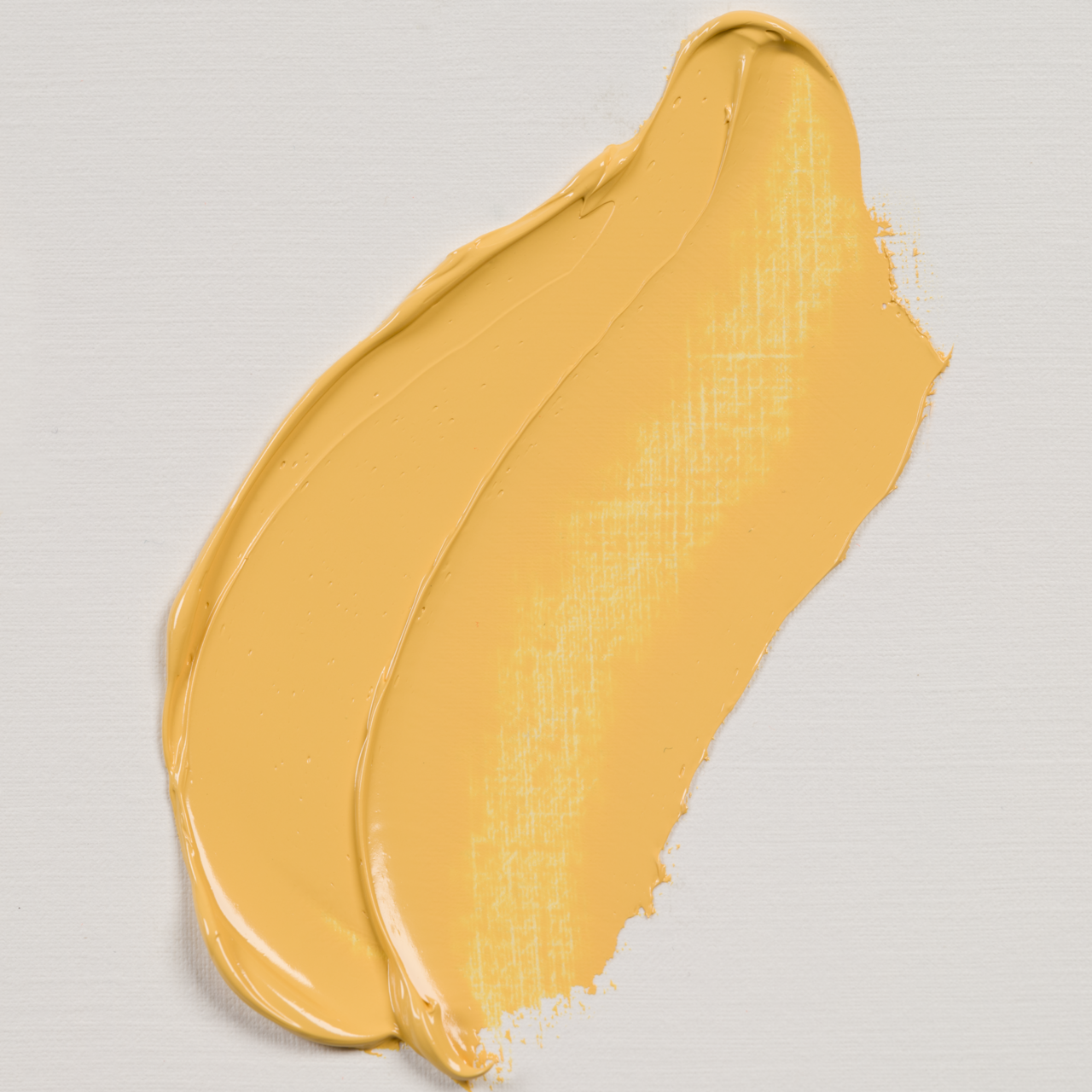Rembrandt Oil 40ml Naples Yellow Deep