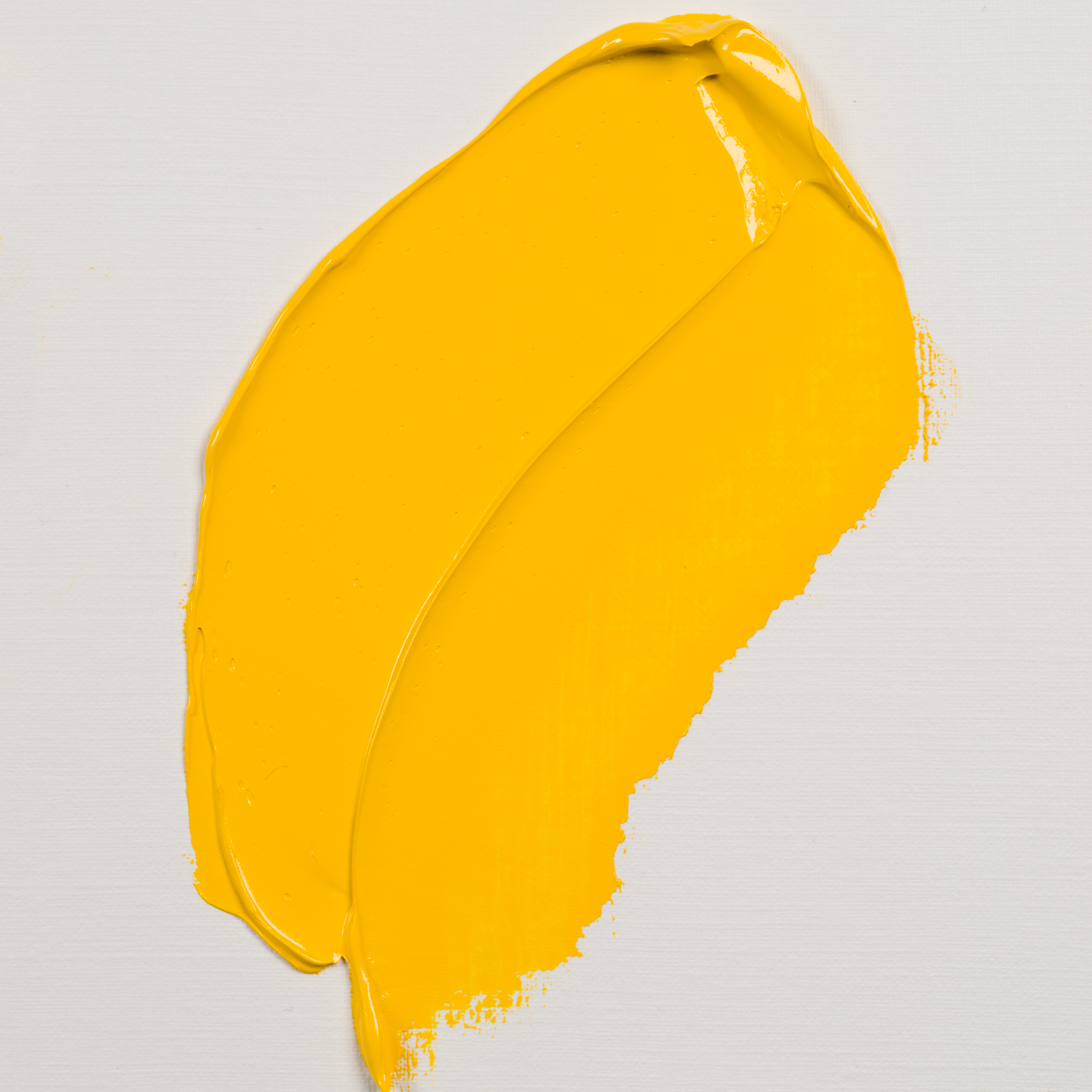 Rembrandt Oil 40ml Cadmium Yellow Medium
