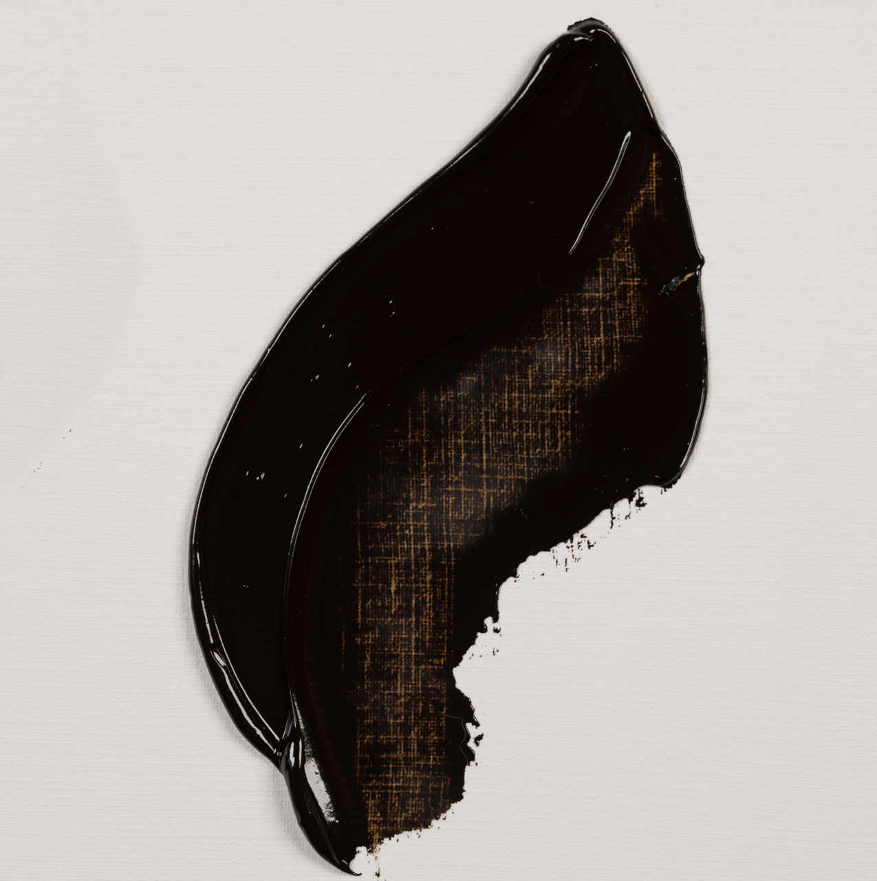 Rembrandt Oil 40ml Vandyke Brown