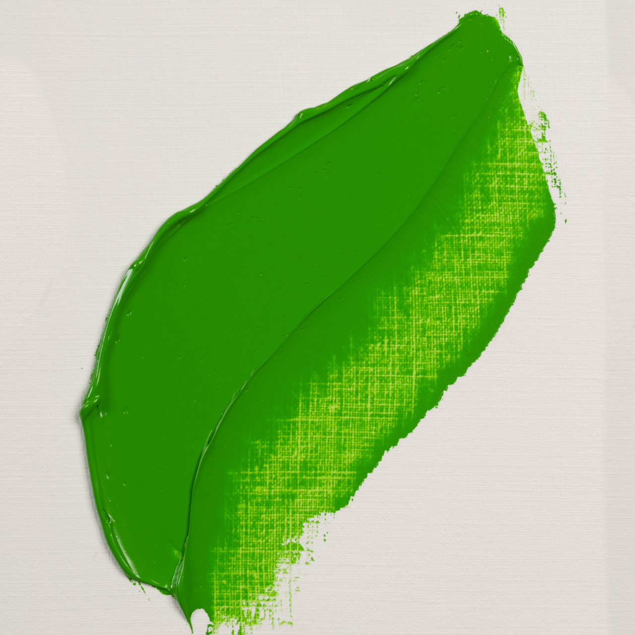 Rembrandt Oil 40ml Permanent Green Light