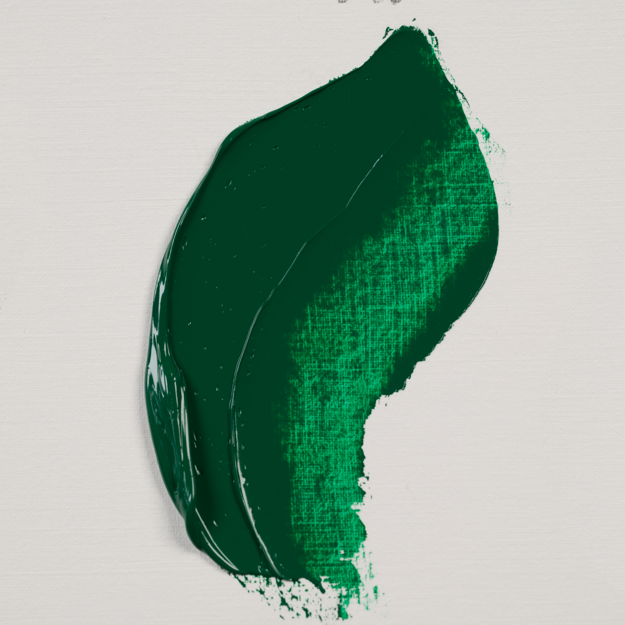 Rembrandt Oil 40ml Permanent Green Deep
