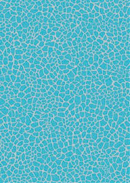 Decopatch papper - Animal Prints, Blue& White