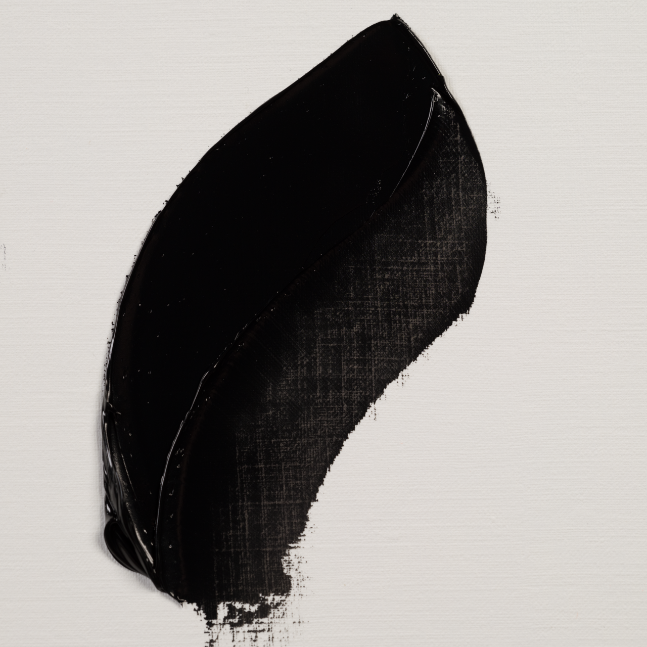Rembrandt Oil 40ml Ivory Black