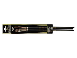Rembrandt oil/acrylic brushes set series 290/291/292