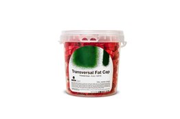 MTN Transversal Fat Cap