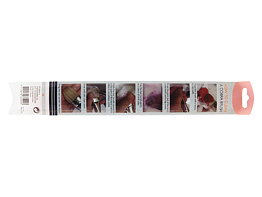 Cobra water mixable oil colour brush set series 215