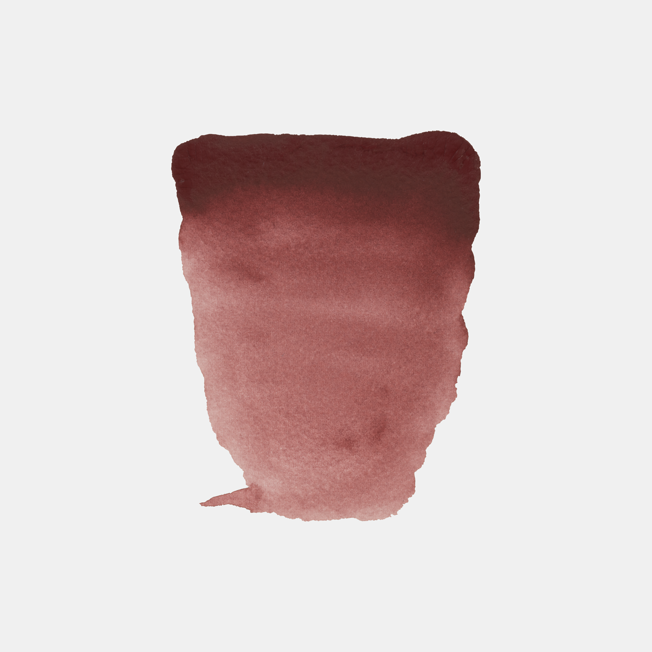 Rembrandt Akvarell ½ Kopp - 19