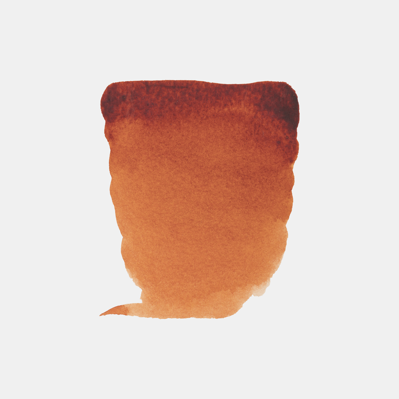 Rembrandt Akvarell ½ Kopp - 13
