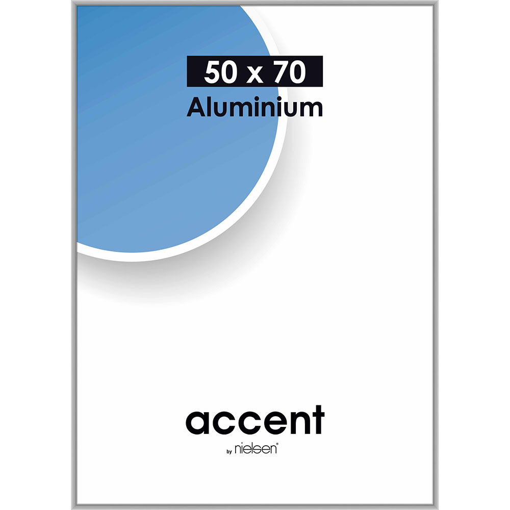 Accent Aluminium Silver Matt - 19