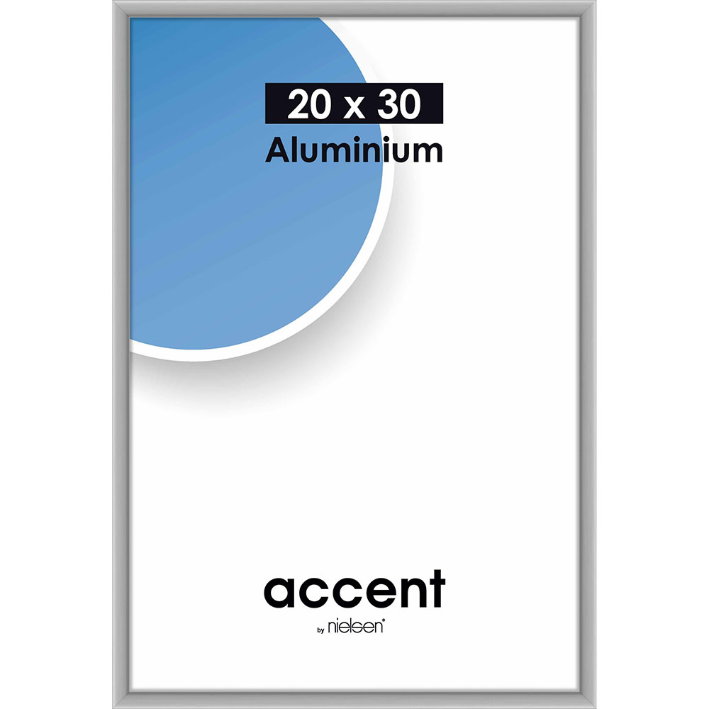 Accent Aluminium Silver Matt - 10