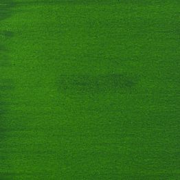 Amserdam Ink 30ml Permanent Green Light 618