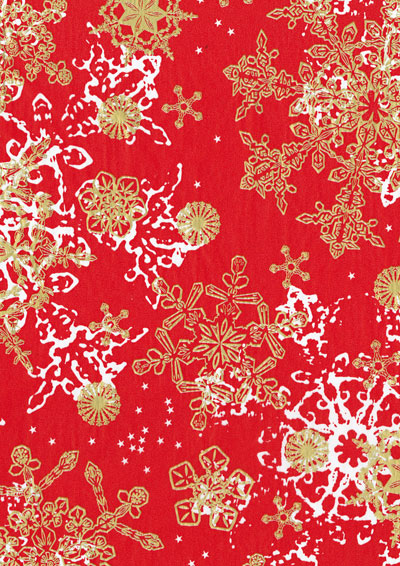 Decopatch papper - Red Winterand